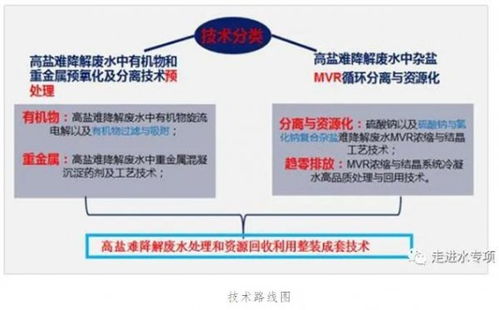 高鹽難降解廢水趨零排放技術實現重大突破與規?；瘧? />
</span>
<span id=